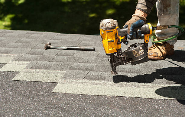 Best Roof Gutter Cleaning  in Highland City, FL